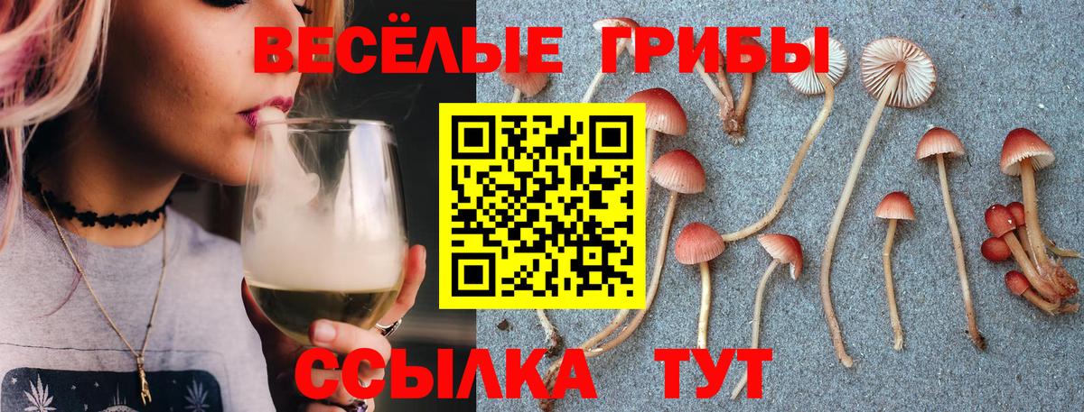 Искитим  Галлюциногенные грибы GOLDEN TEACHER  Вход с VPN  Псилоцибиновые грибы мухоморы 